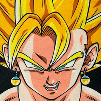 RAGING SAIYAN RUG