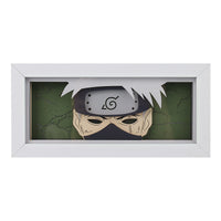WHITE WOLF LED BOX