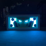 SAGE PATH LED BOX
