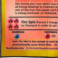CHARIZARD BLAZE RUG