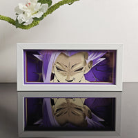 FINAL ASCENT LED BOX
