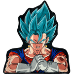 POTARA POWER RUG