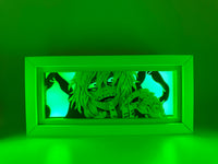 DECAY LORD LED BOX