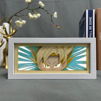PRIMAL SUN LED BOX