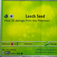 SEED SPROUT RUG