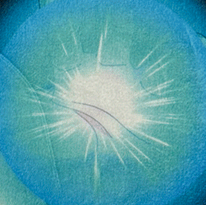 MYSTIC RAGE RUG - Image 3