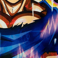 ULTRA INSTINCT RUG