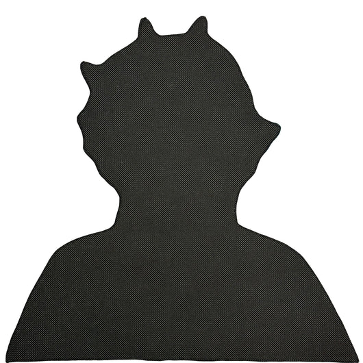 SCARRED SPIRIT RUG - Image 2