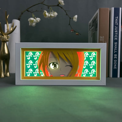 CAT BURGLAR LED BOX — One Piece — LED Box view 5
