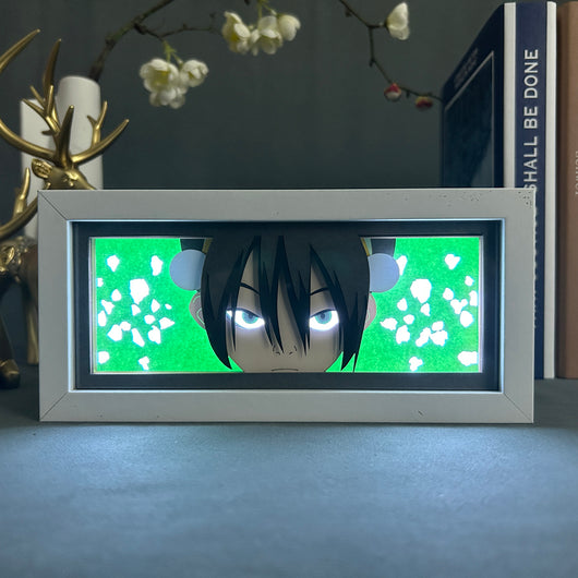 FIRE NATION LED BOX — LED Box view 2