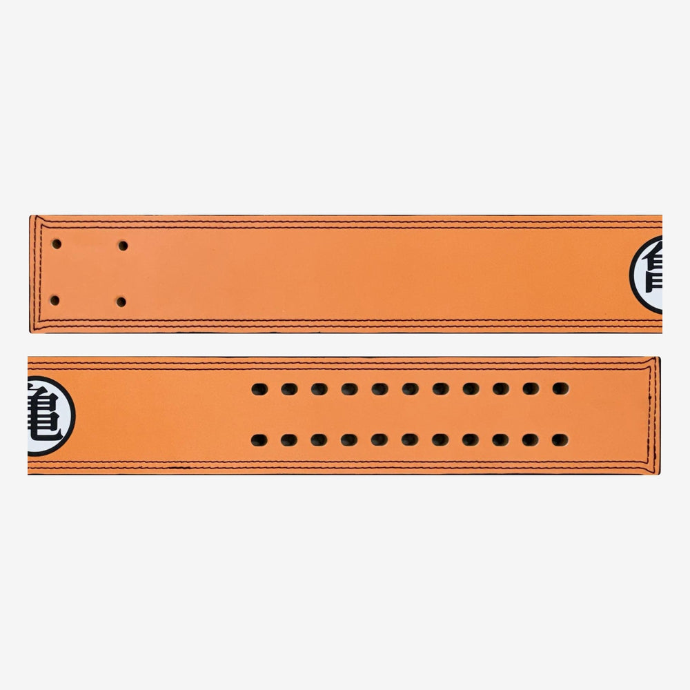 Turtle School Gym Lever Belt, artwork detail